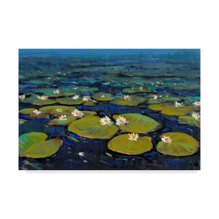 Tim Otoole 'Green Lily Pads Ii' Canvas Art,16x24